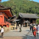 치쿠린 | 오사카 교토 투어 추천 : 교토 아라시야마 치쿠린 대나무숲 여행 후기