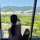 파스쿠찌(강서점) 이미지