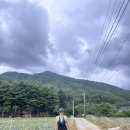 살둔마을 생둔분교 캠핑장 | 여름휴가 가기 좋은 강원도캠핑장추천 또또간곳 살둔분교캠핑장