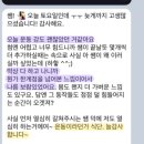 바디컨설팅 이미지