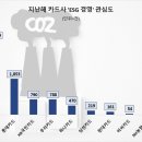 마이렌탈샵_1 네이버블로그