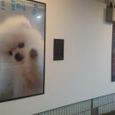 백궁지하보도 이미지