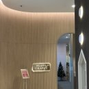 음악 줄넘기-B | [필라테스그라피롯데몰수지점] 수지 필라테스 남편이랑 2:1 개인 레슨 후기 분당 필라테스