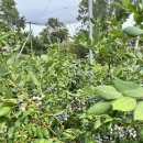 오송미소치과의원 이미지