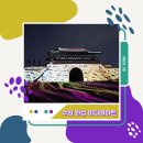 만천유치원 | 수원 화성 창룡문, 연무대 미디어아트 관람 후기, 플라잉수원 열기구 예약 및 가격