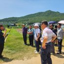 군위(부산) 이미지