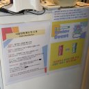강릉 닭강정 맛집 서울양계 닭강정 맛 추천 매콤맛 허니치즈맛 후기 내돈내산