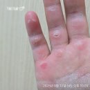 두꺼비로20번길(3-255) | [블챌]문경 클라이밍 휴식기를 거치며, 새로운 클라이밍장 체험후기