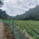 산아래농장 이미지