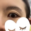 미마루(memaru) 이미지