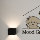 무드그루밍 이미지