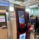 울엄마민박 | 서류, 기내 보조배터리, 보롬왓, 밭디, 안월선민박코리아제주, 서귀포 왕복 픽업서비스 반반한흑돼지