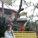 스테이 피크닉 | 전북 완주 키즈 풀빌라 펜션, 스테이피크닉 3인가족 여행기