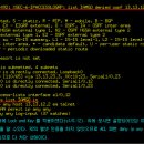 정보보안학과, Security & VPN - Router Security, IPv6의 이해 이미지