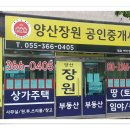 금오부동산중개사무소 이미지