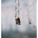 남부순환로328길 49__ | 서울 도심에서 터지는 불꽃, 대성사 산사음악회 낙화축제 2025 완전 정리