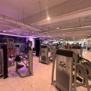 머슬라운지 이미지