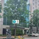 경기도 수원시 팔달구 권광로142번길 이미지