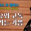 5월 11일 부활 제6주간 토요일(요한 16,23-28) 「기쁨이 충만해질 것이다」반영억 라파엘신 신부 이미지