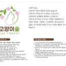 공부하는고양이