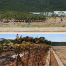 덤벙분청공원 이미지