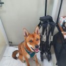 애막골 등산로 입구 이미지