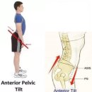허리나 연구소 이미지