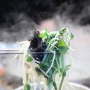 스타벅스 경산하양DT