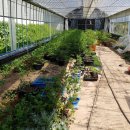 파머스하우스 이미지