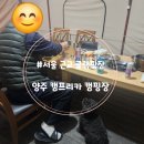 캠프리카 | [경기 양주]캠프리카 캠핑장, 마장호수 근처 우중 글램핑, 글램핑 1동 솔직후기(ft.원당시장)