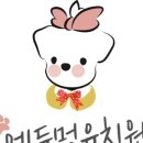 에듀멍 애견유치원 호텔 네이버블로그