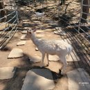 두곡목장 이미지