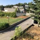 바다의 숲속 이미지