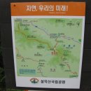 윤영35