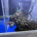 하대동218 이미지