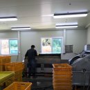 하늘비 홍삼원 이미지