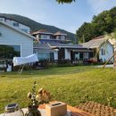 씨 스테이 앤 이미지