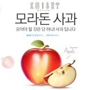 개이득PC 이미지