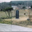 내고향본가 이미지