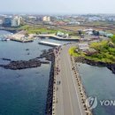 푸른제주 이미지