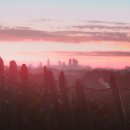 평택-평택-10 이미지