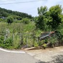 335부동산공인중개사사무소 이미지