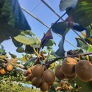 광신농장 이미지