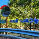 사지목 나무그늘 이미지