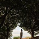 태광목장 이미지