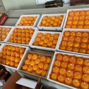 삼우농원 이미지