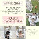 삼육사로41 네이버블로그