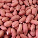 병팔농장 이미지