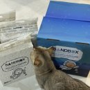 고양이 두부모래 추천 샌드박스 친환경 고양이모래 스크래쳐는 덤