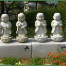 달마공원 Daum카페